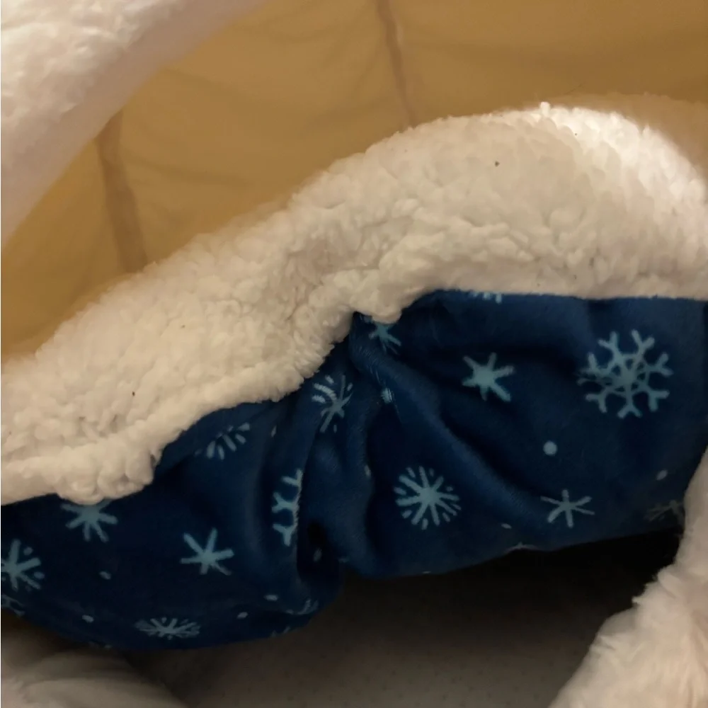 Wondershop White Pet Igloo with Blue Cushion